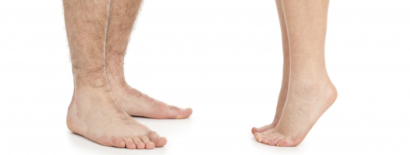 iStock_000018698043_XXXLarge